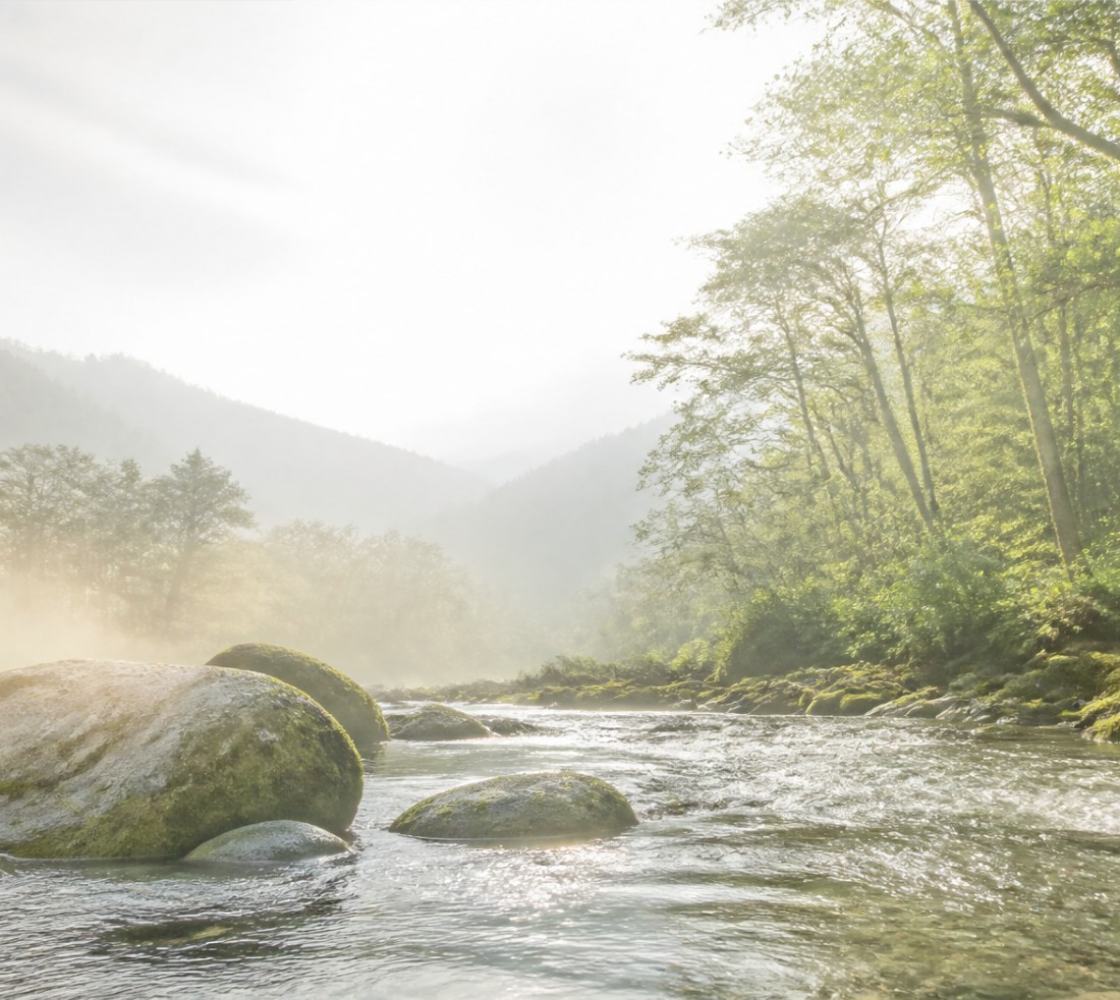 A clear alpine river running over mossed boulders through mist-held forest.